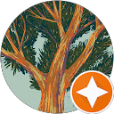 Stormer DiCola profile picture